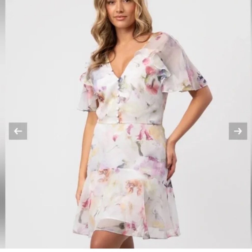 NWT Ted Baker Sangro Angel Sleeve Fit And Flare Mini Dress Size 4/ US 10